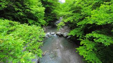 施設からの眺望 / 8