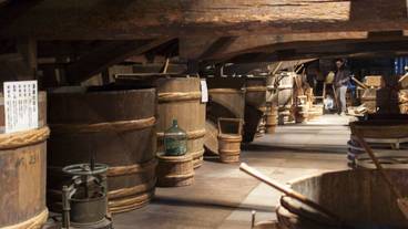 施設からの眺望 / 17