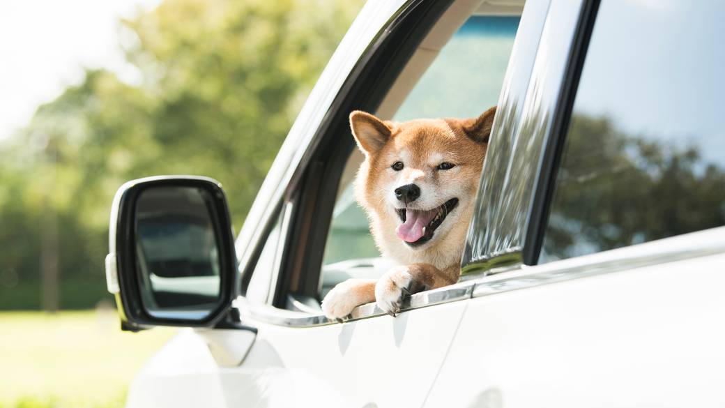 愛犬と一緒に
箱根までドライブ / 1
