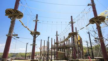 スポーツ設備 / 3