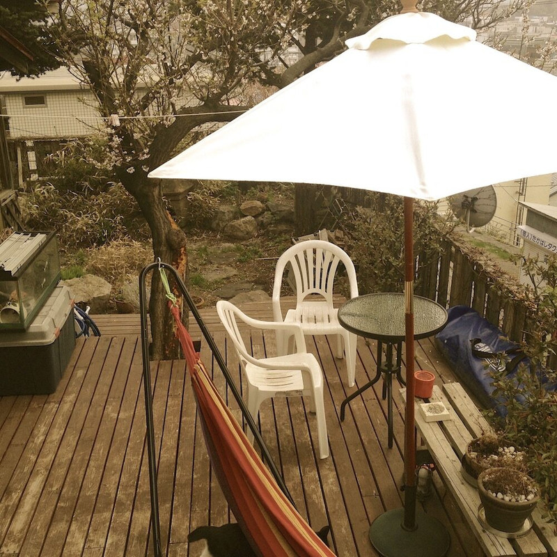 テラス / パティオ