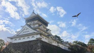 観光スポット / 20