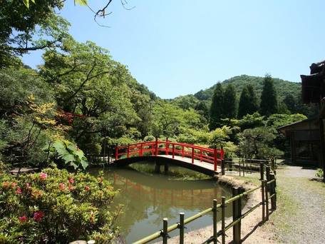 あまみ温泉 南天苑 / 5