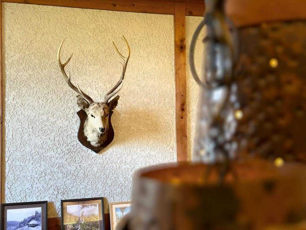 ___chiccchi___さんの写真 / 2