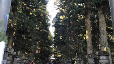 ハイキング / 12