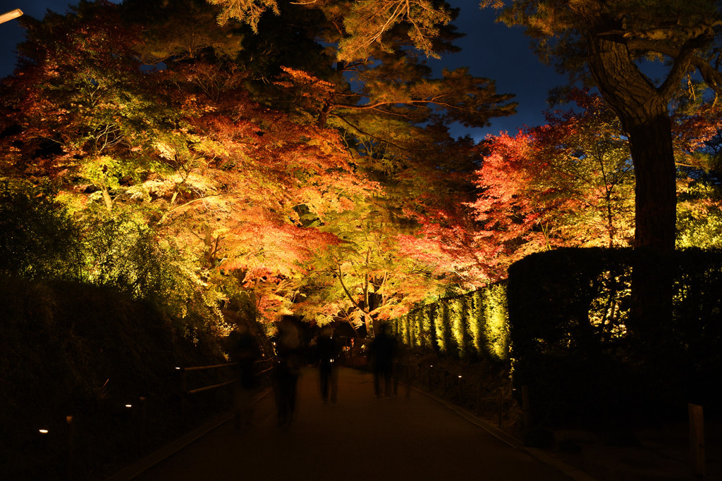世界遺産　平泉　中尊寺の紅葉