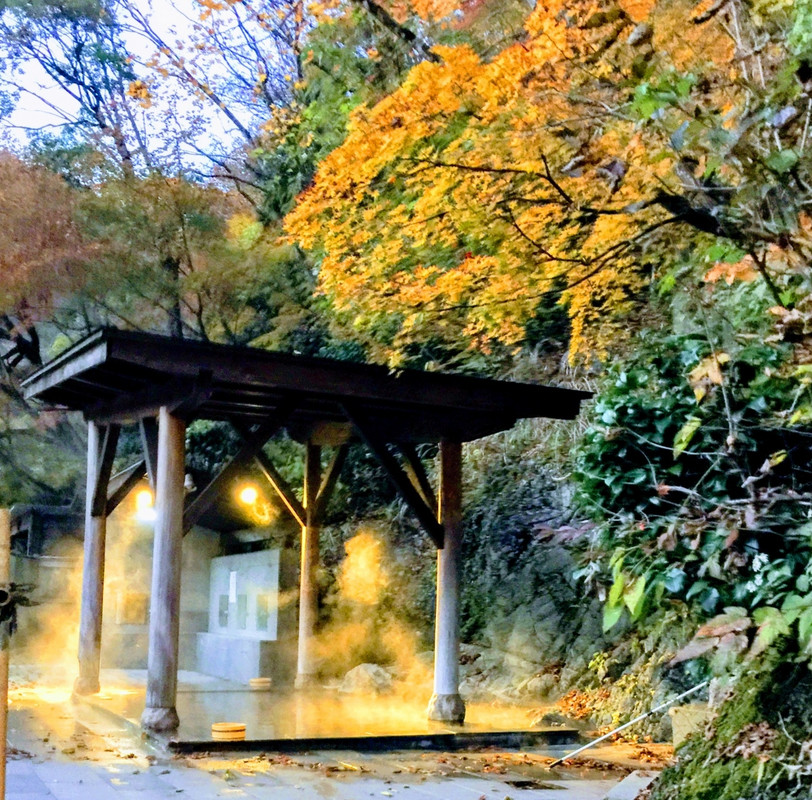 露天風呂周辺の紅葉