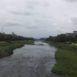 鴨川（カモガワ）