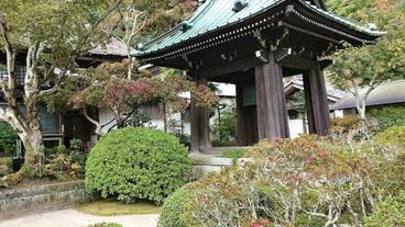 観光スポット / 11