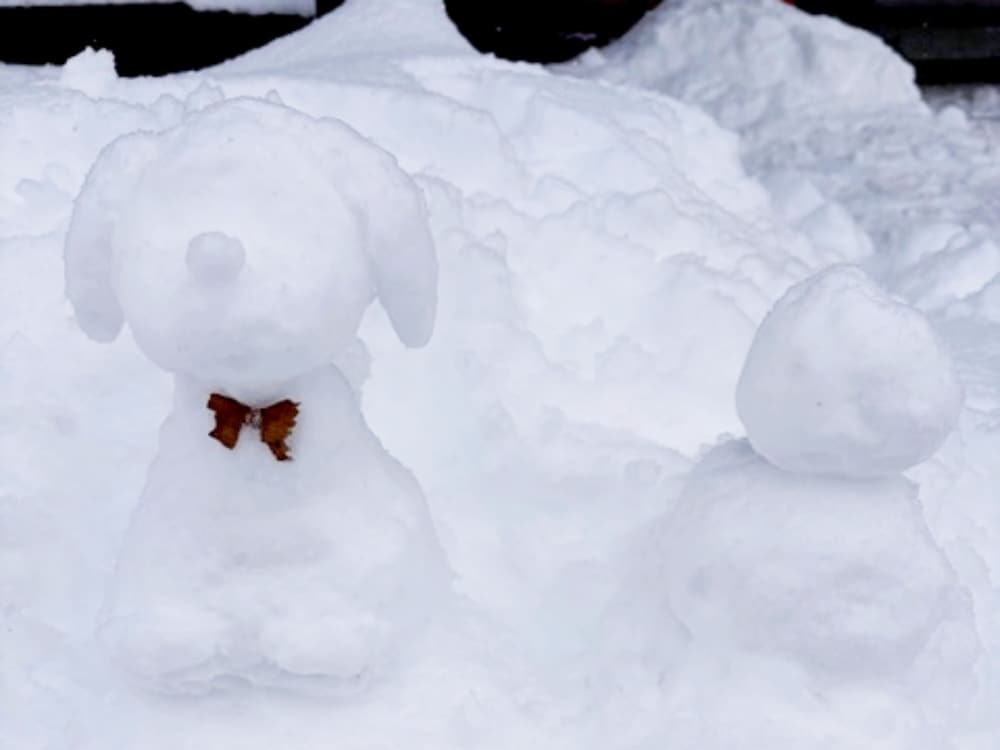 子供用の遊び場 - 屋外