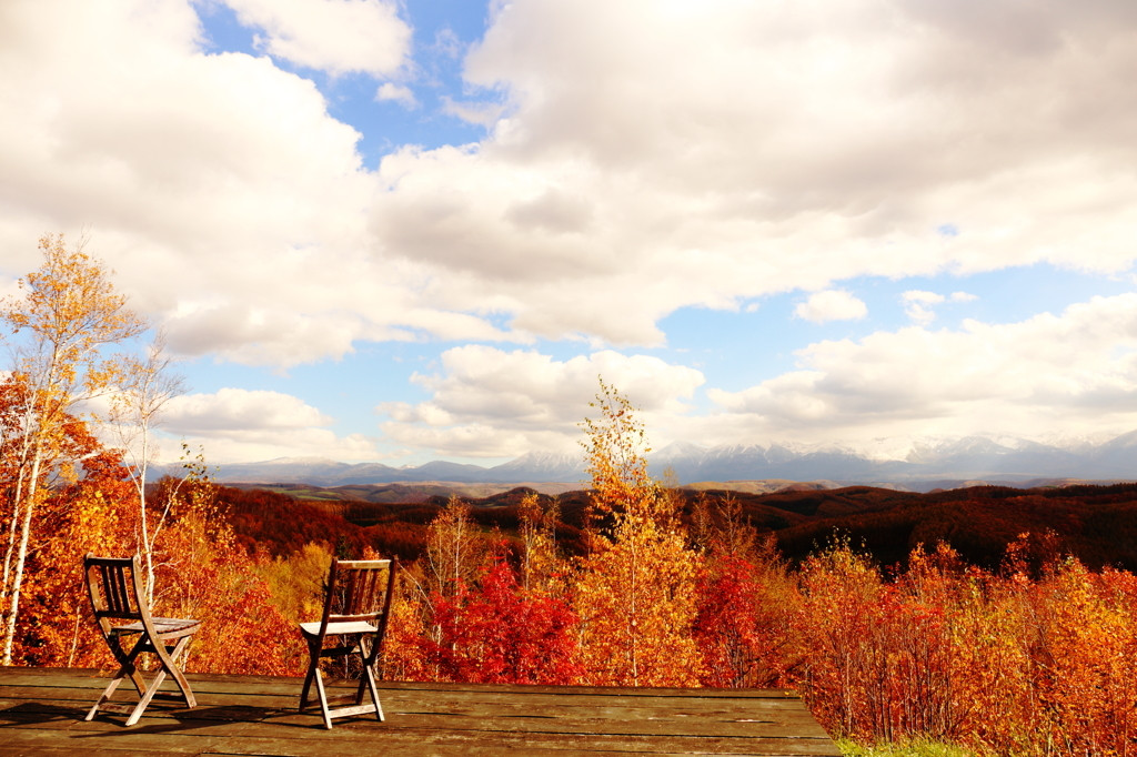 大自然溢れる北海道の紅葉は目をはる美しさ！1315199