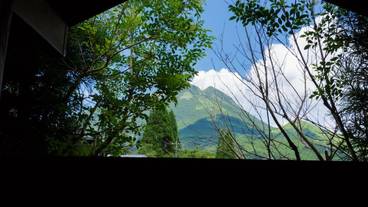 部屋からの景観 / 17