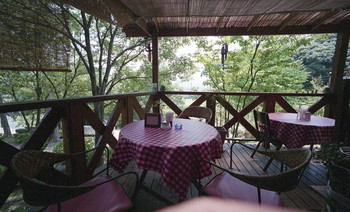 「マーシー」内観 841617