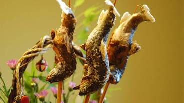 食事・飲み物 / 1