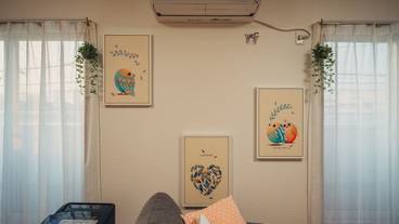 客室の設備とサービス / 36