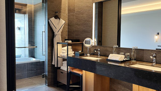 プレミア ルーム キングベッド 1 台 禁煙 パークビュー (Balcony)