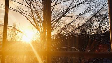 施設の敷地 / 31