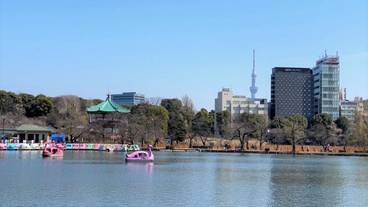 観光スポット / 7