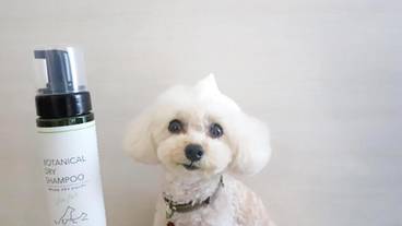 バスルーム / 28