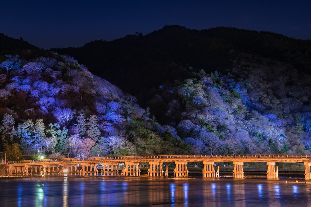 ライトアップや雪景色など冬も魅力いっぱいの「嵐山」3996799