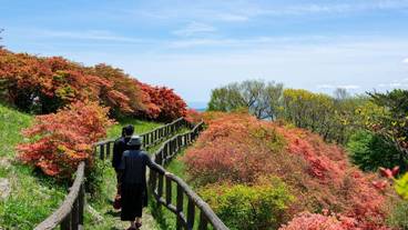 観光スポット / 13