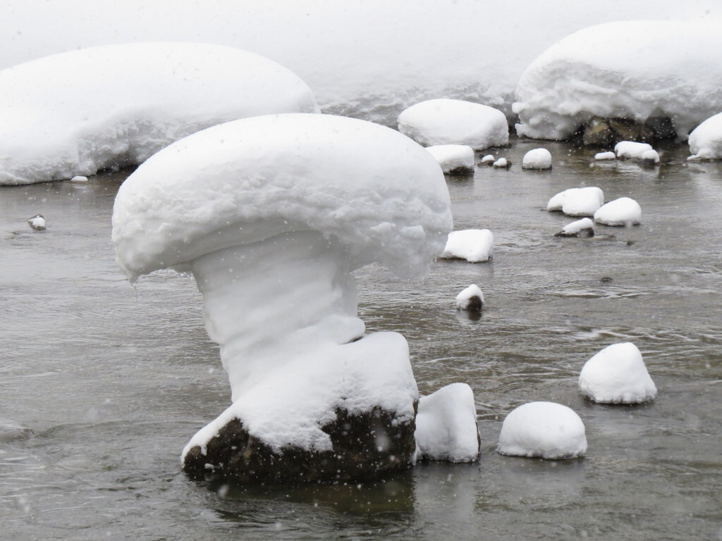 東北の秘湯へいこう！4023667