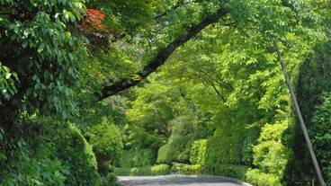 施設の敷地 / 13