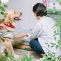 【さき楽/素泊まり】早めの予約でお得に泊まっちゃおう♪25日前までの予約で15%オフ! | リフレッシュエッセンシャルリゾートIN軽井沢