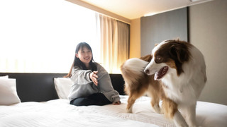 [Dog Friendly] デラックス ツイン 禁煙