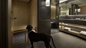 バスルーム / 26