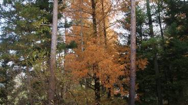 施設の敷地 / 11