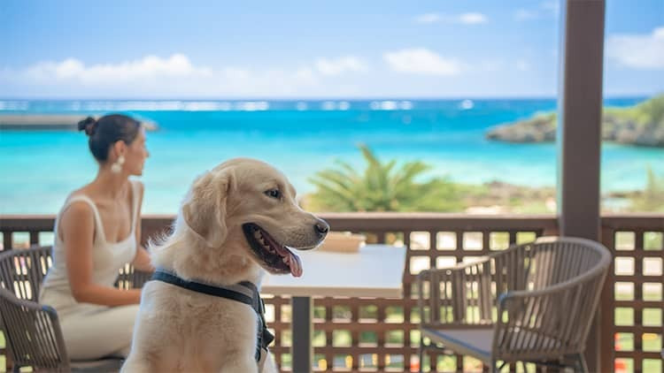 敷地内を自由にお散歩できる♪愛犬と利用OKなレストラン多数3933487