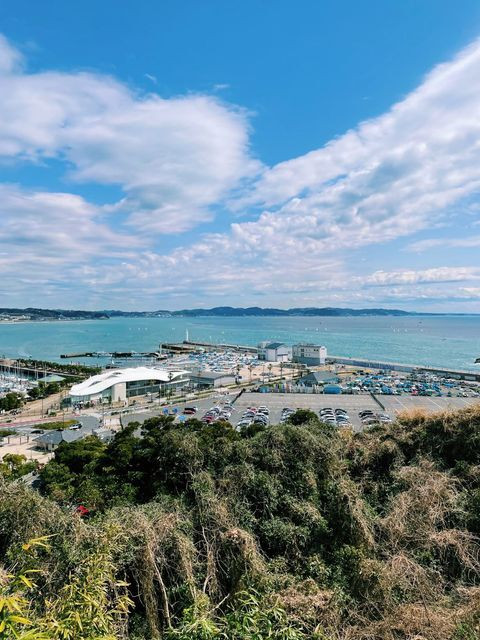 green_orange_roomさんの写真 / 1