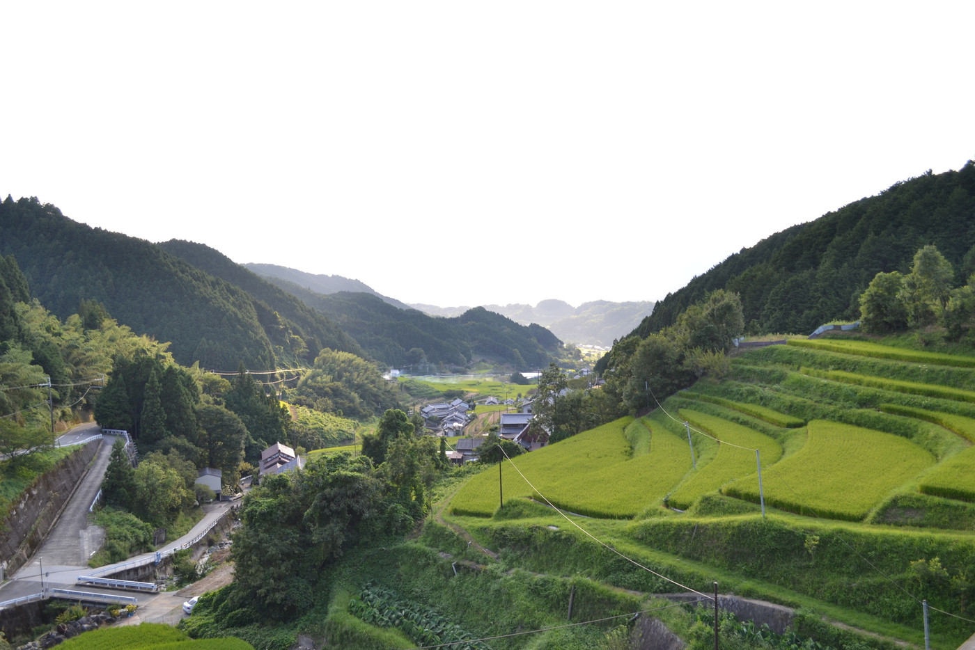奥飛鳥の棚田