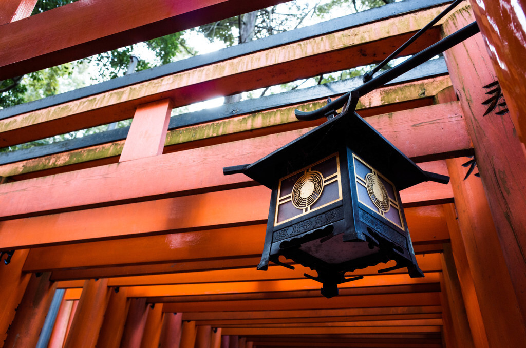 京都でも初詣にはたくさんの人がやってきます1094833