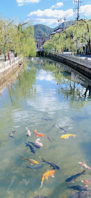 atiti.diaryさんの写真 / 6
