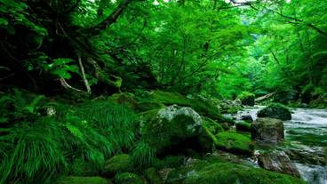 施設の敷地 / 18