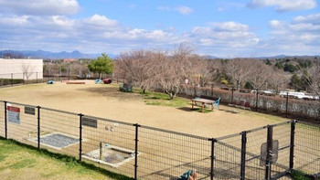 ペットOKのBBQ場やドッグランも！家族みんなで楽しめる4247053