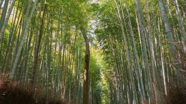 シティ ビュー / 28