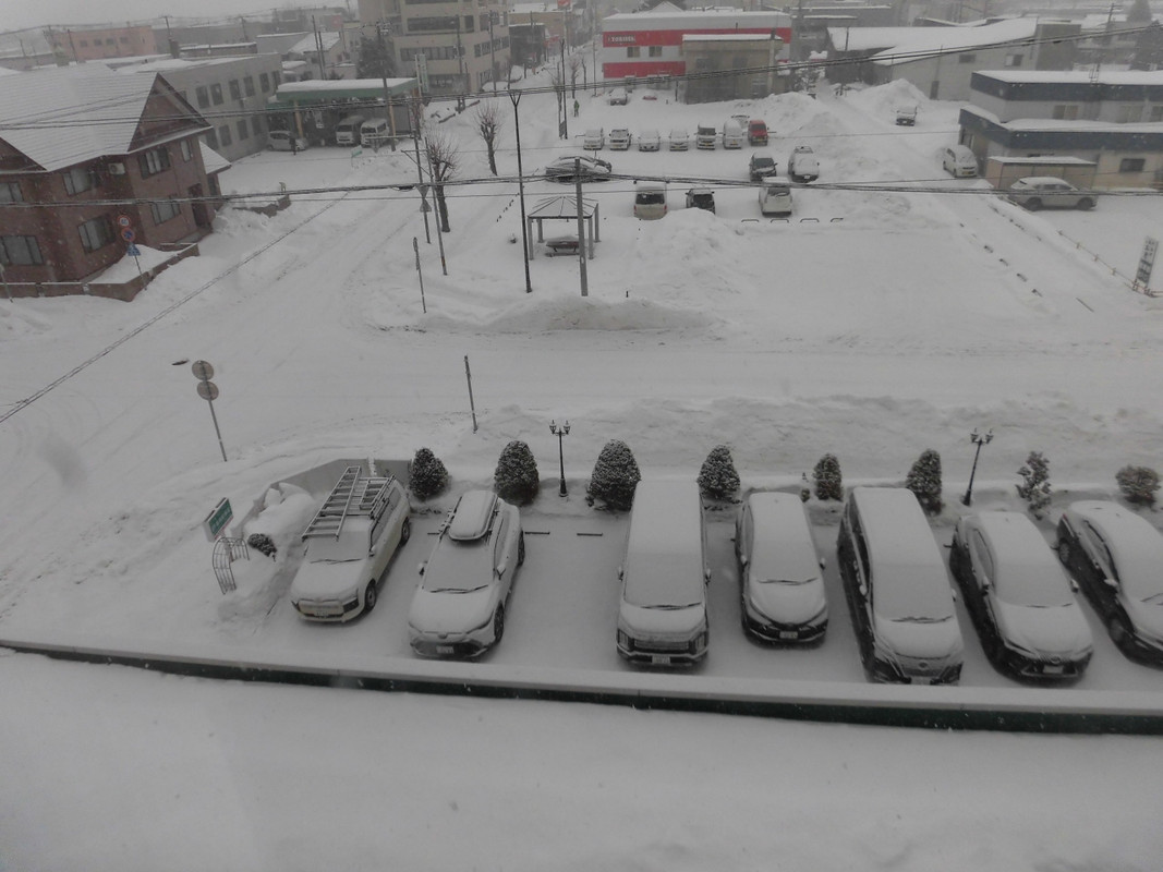 客室からの景色