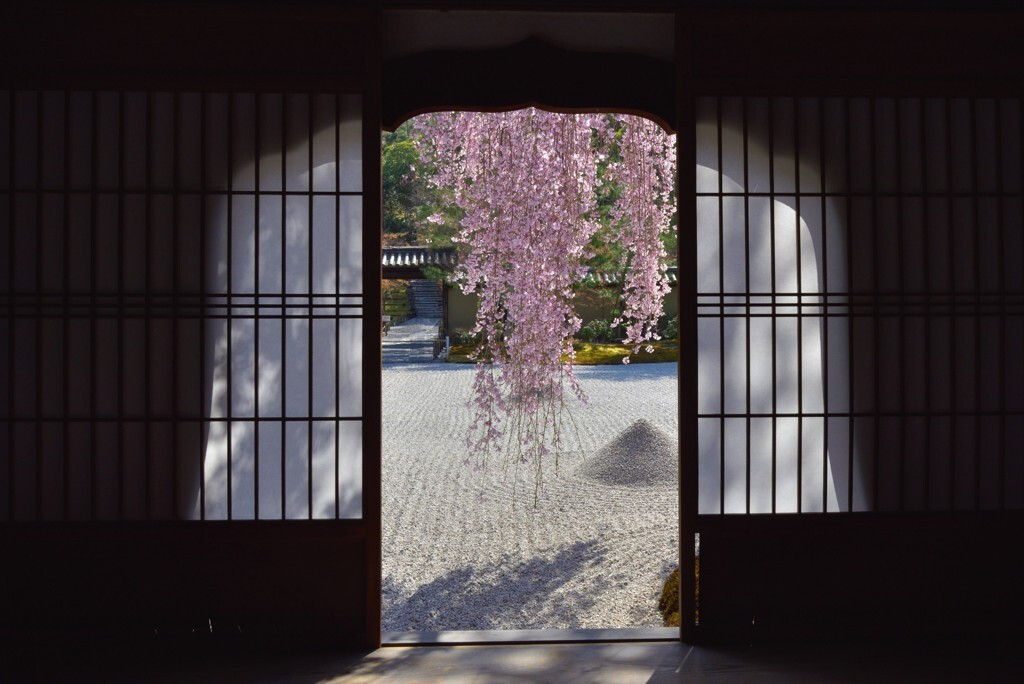神社仏閣巡りも街歩きももっと楽しい♪春旅は京都に行こう2364161