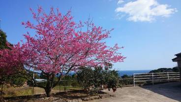 施設の敷地 / 11