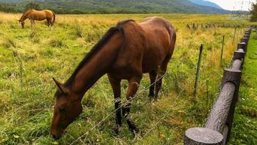 ランド ビュー / 33