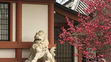 施設からの眺望 / 2