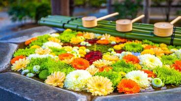 シティ ビュー / 10