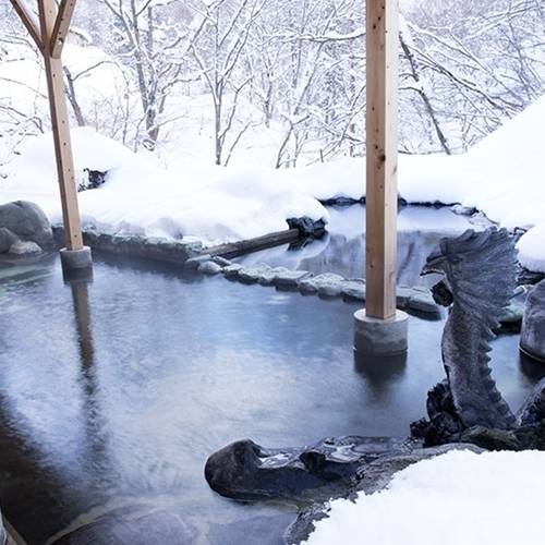 大龍（大露天風呂）　冬 / 4