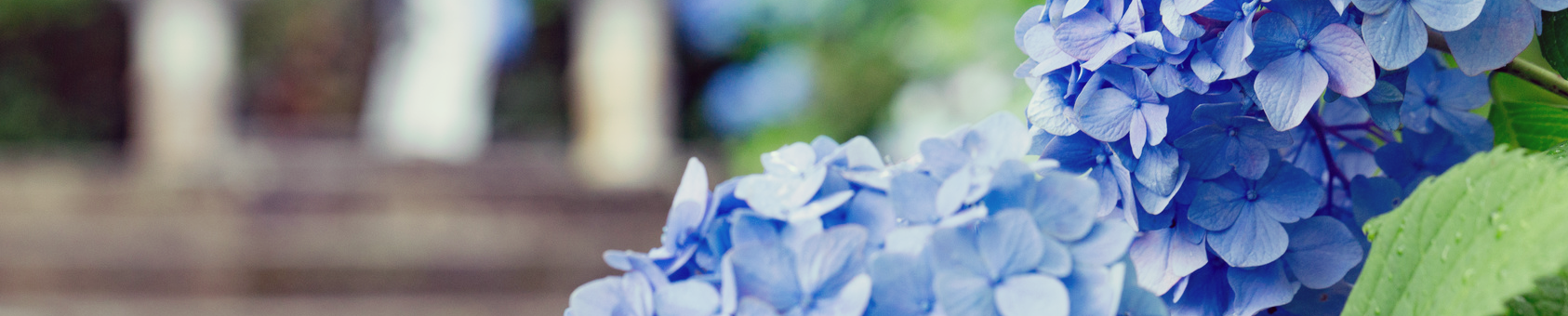 雨の日のおでかけ特集【2016年版】