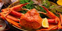 旬の味を求め冬の加賀へ！美味しいカニ料理をいただける旅館5選