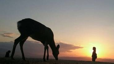 ランド ビュー / 25