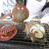 さざ波（サザナミ）